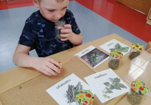 chłopiec dopasowuje suszone zioła do kart tróstopniowych